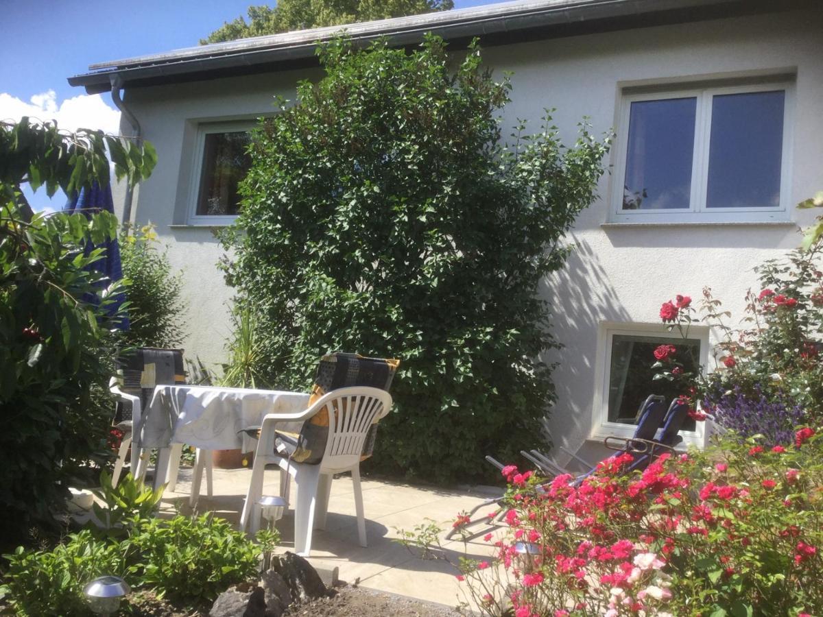 Ferienhaus Moock Horn-Bad Meinberg Εξωτερικό φωτογραφία